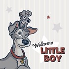 welcome little boy met kleine rakker